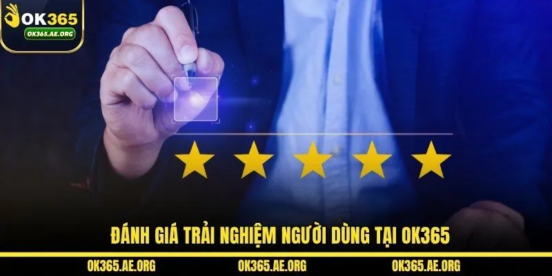 Đánh giá trải nghiệm người dùng tại OK365